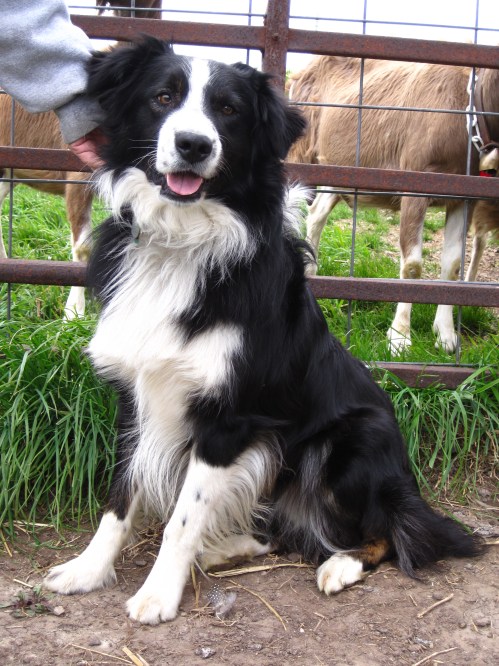 Go ahead and edit this